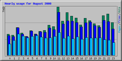 Hourly usage for August 2008